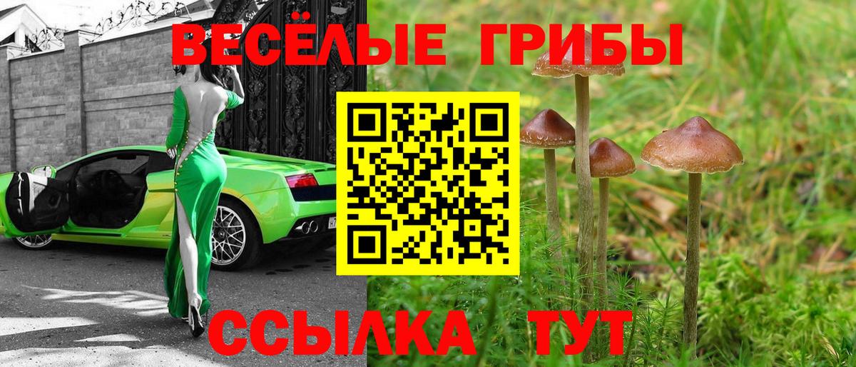 Галлюциногенные грибы Magic Shrooms Калуга