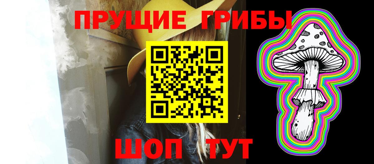 Галлюциногенные грибы Psilocybine cubensis  Вход с VPN  Псилоцибиновые грибы мухоморы  Калуга 