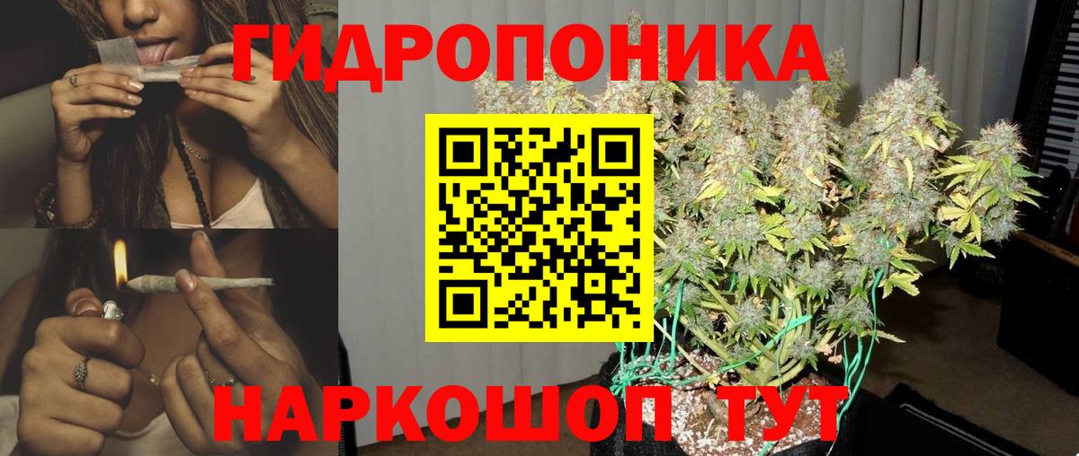 Бошки марихуана OG Kush  Бошки Шишки гибрид  Калуга  Вход с VPN 